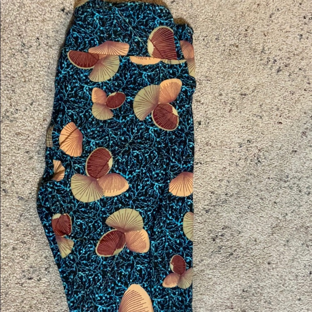 LuLaRoe leggings, one size